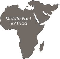 Middle East & Africa
